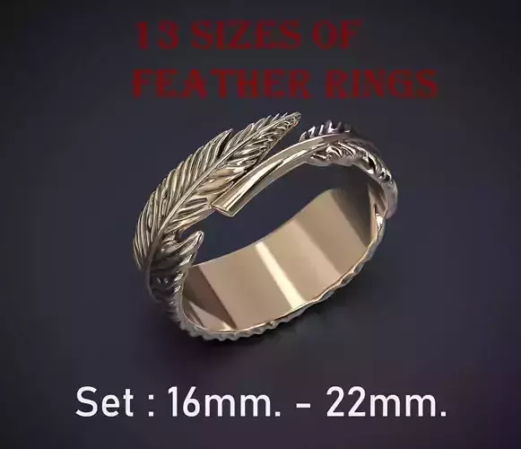 SET OF 13 SIZES THE FEATHER RINGS Printable Model
