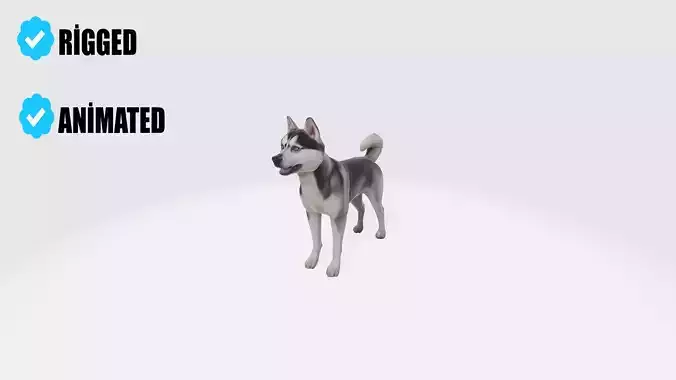Siberian Husky Dog Model Animated and Rigged 3D model