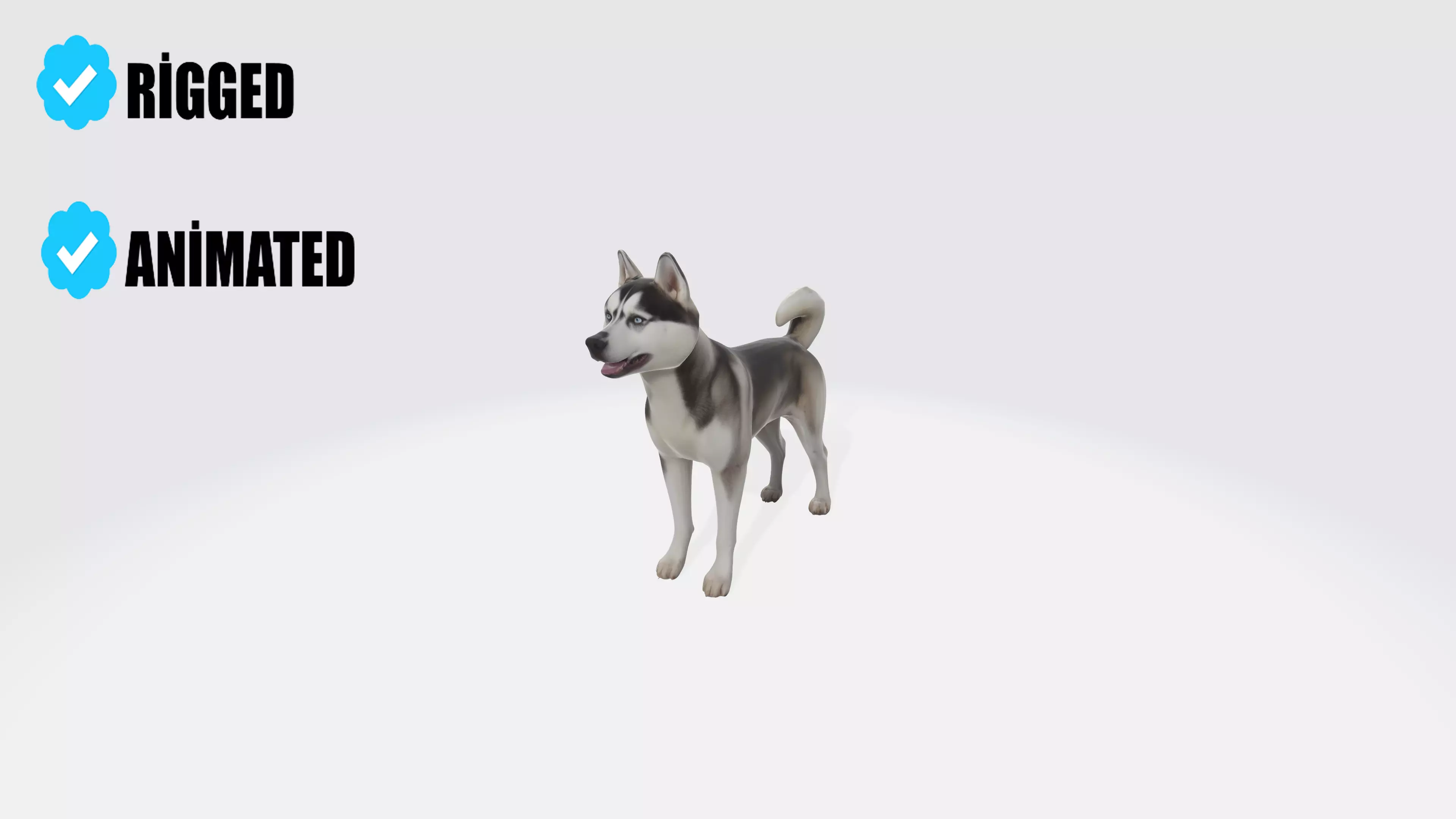 Siberian Husky Dog Model Animated and Rigged 3D model_0