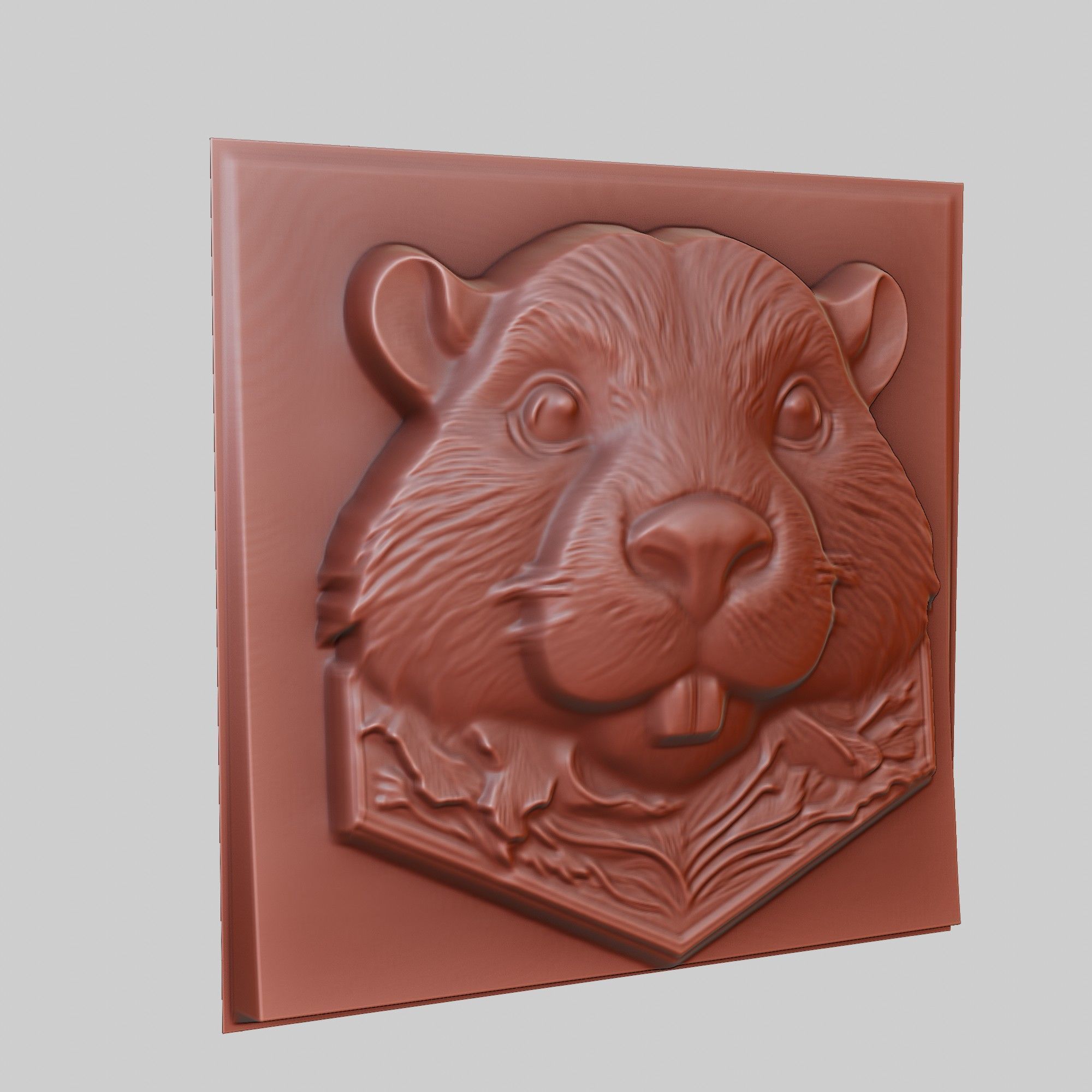 Beaver Animal 3D print model_3