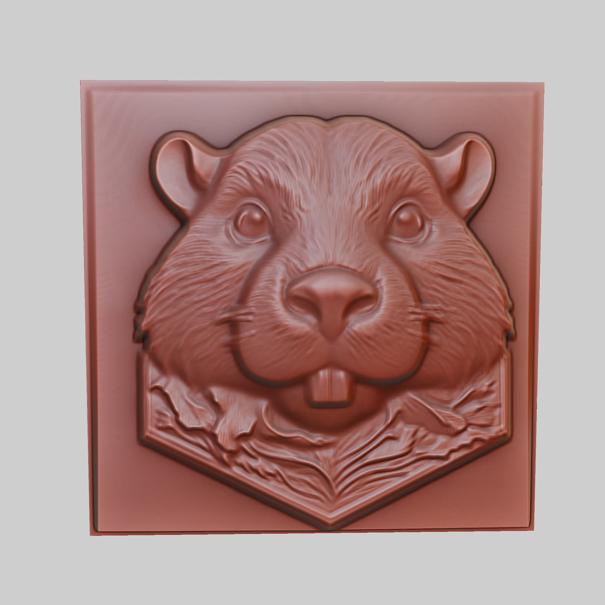 Beaver Animal 3D print model_2