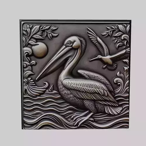 Pelican Animal