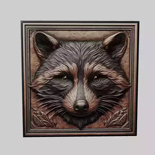 Raccoon Animal