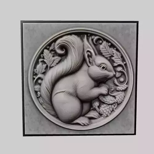 Squirrel Animal