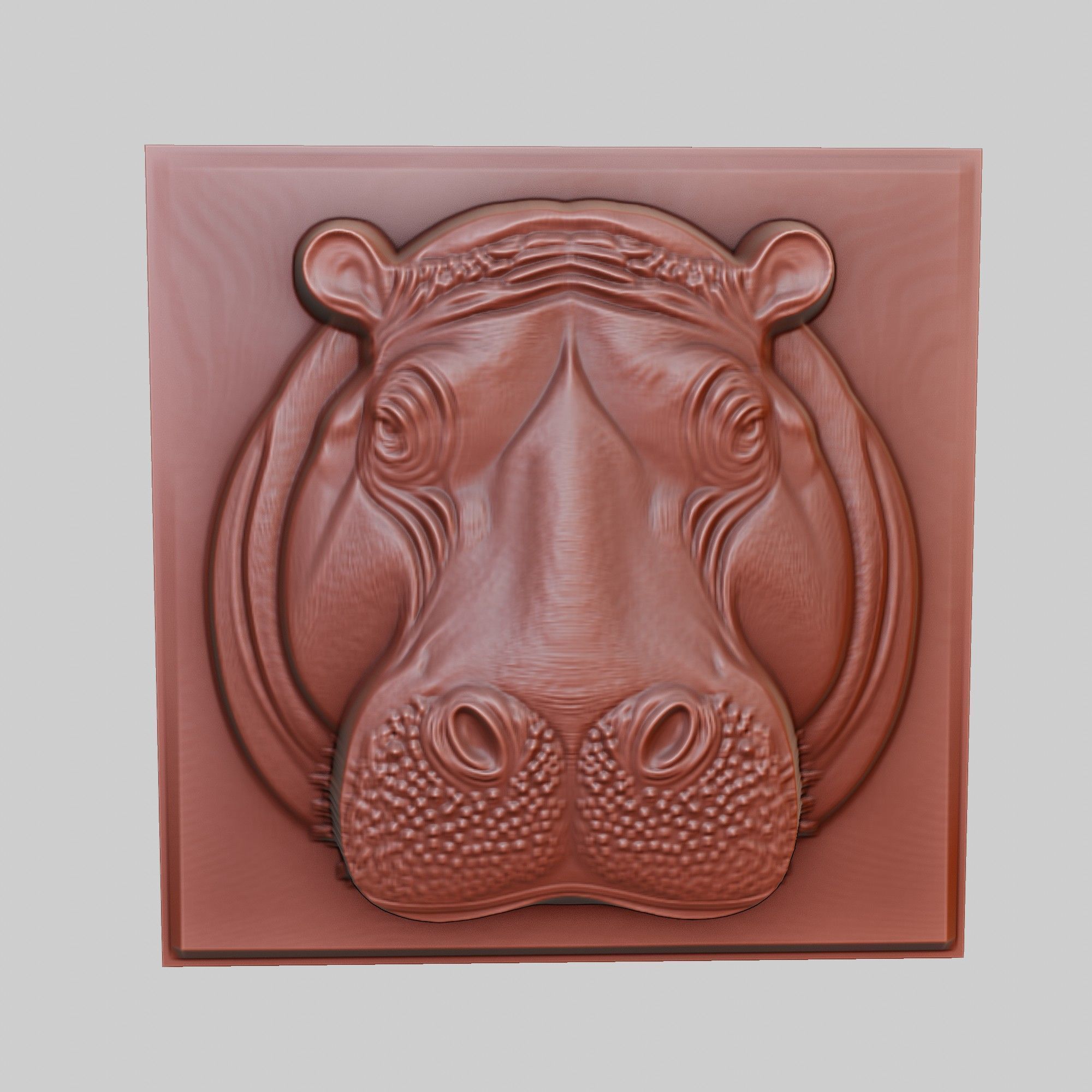 Hippopotamus Animal 3D print model_2