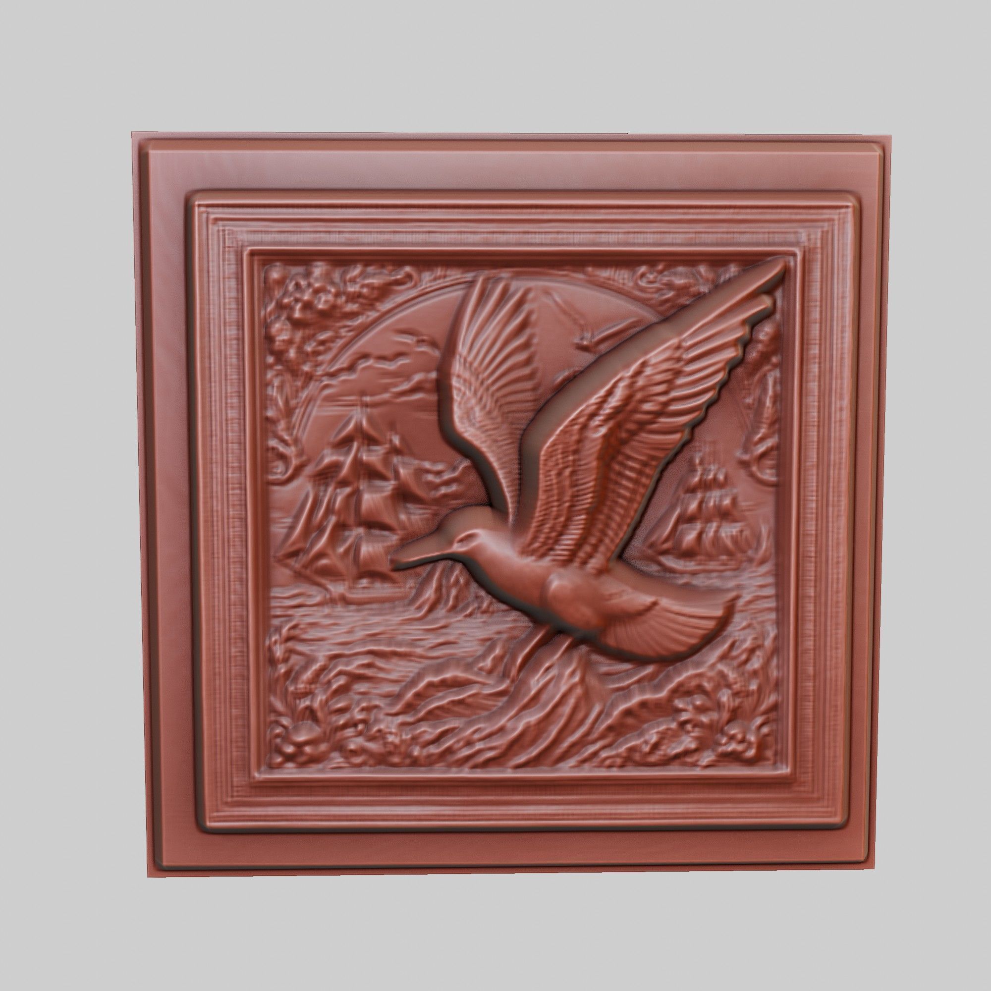 Albatross Animal 3D print model_3