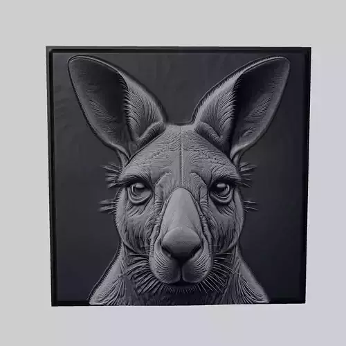 Kangaroo Animal