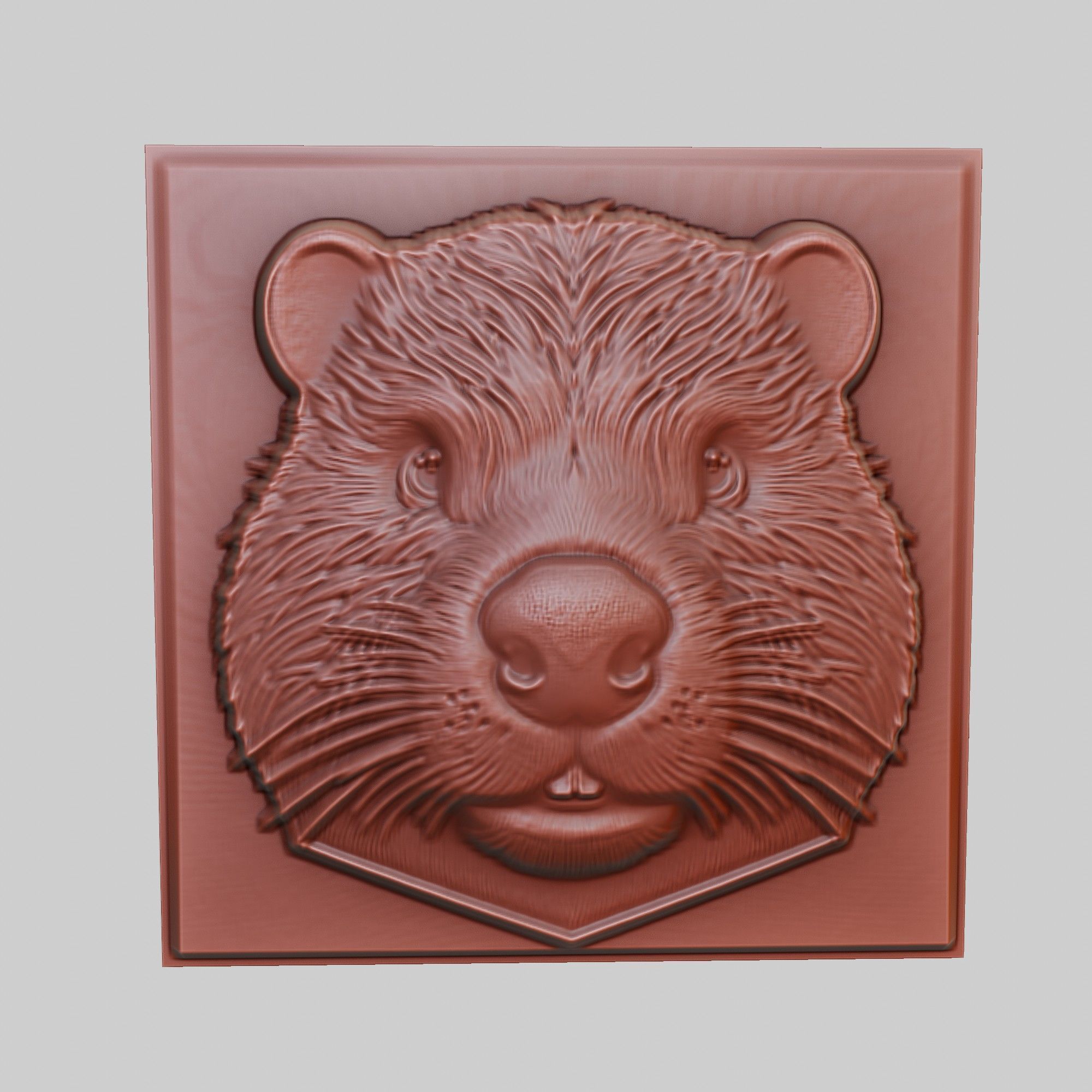 Beaver Animal 3D print model_2