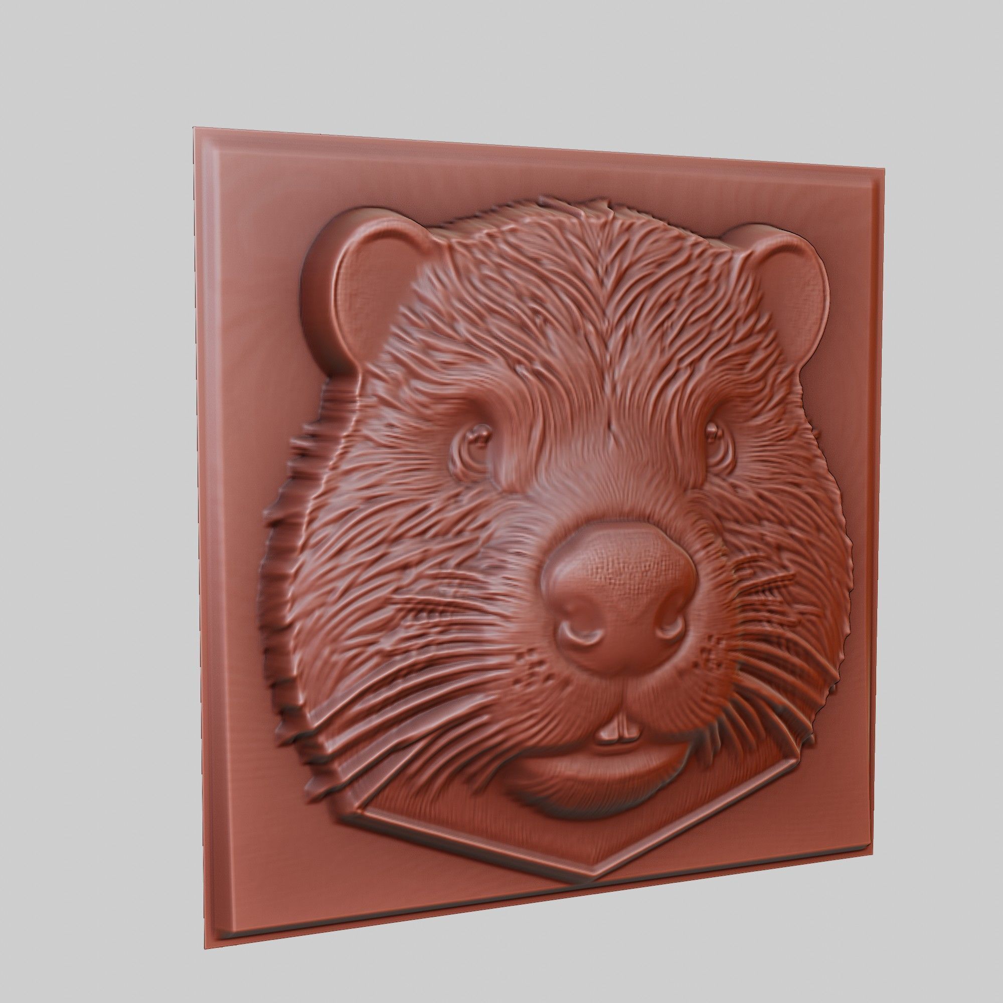 Beaver Animal 3D print model_3