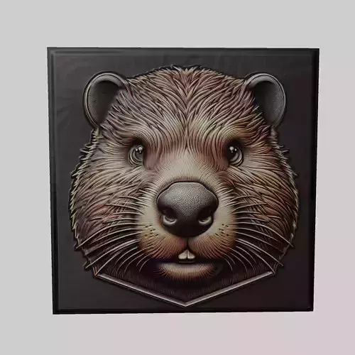 Beaver Animal