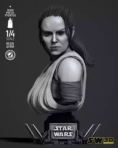 STAR WARS Rey Portrait Bust  3D print model