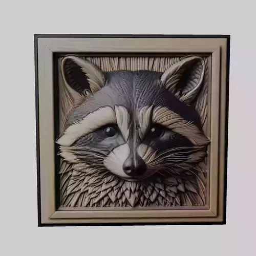 Raccoon Animal