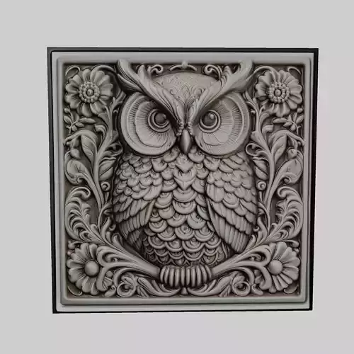 Owl Animal