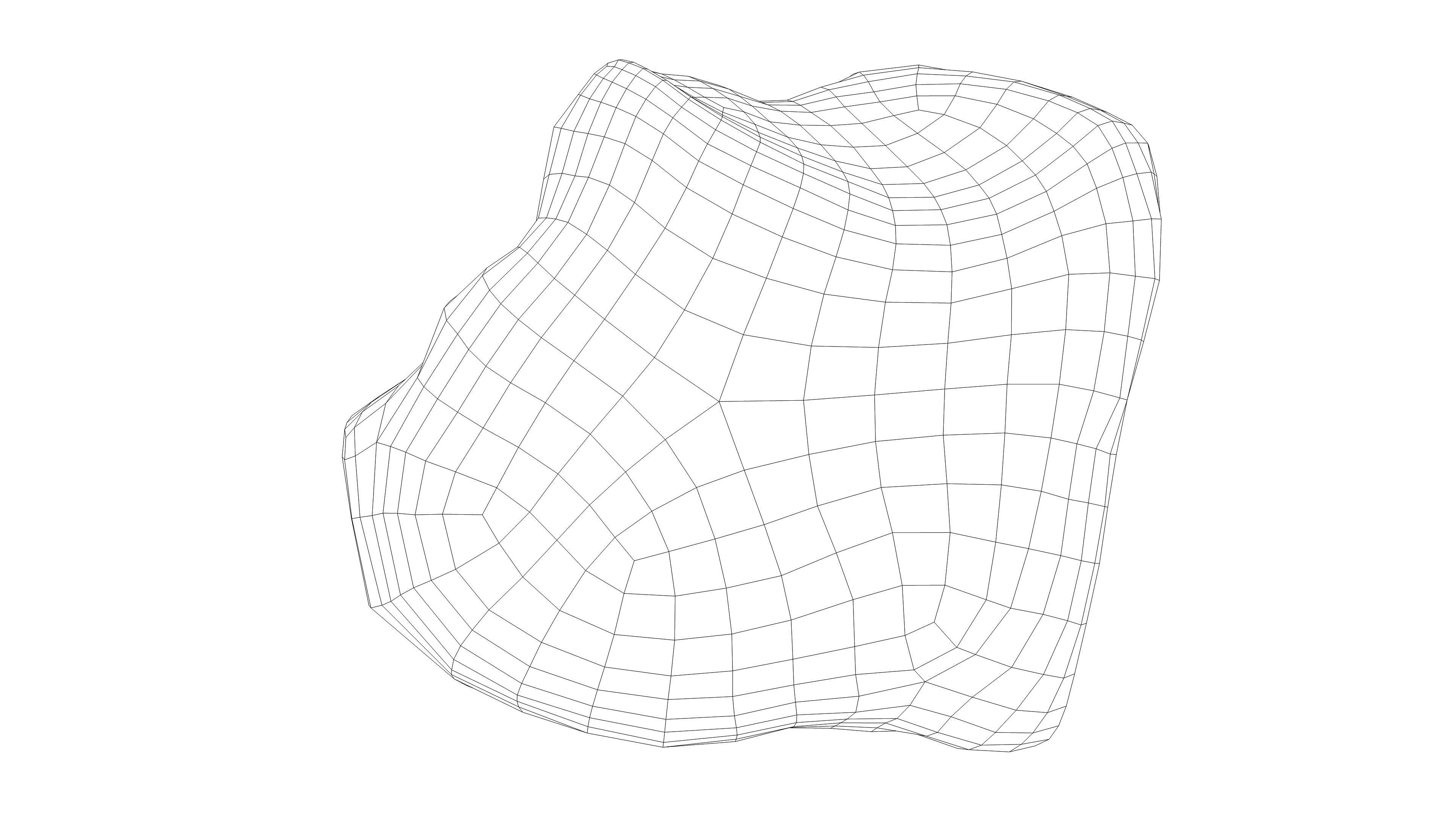 Photorealistic 3D scan of rock stone Low-poly 3D model_19