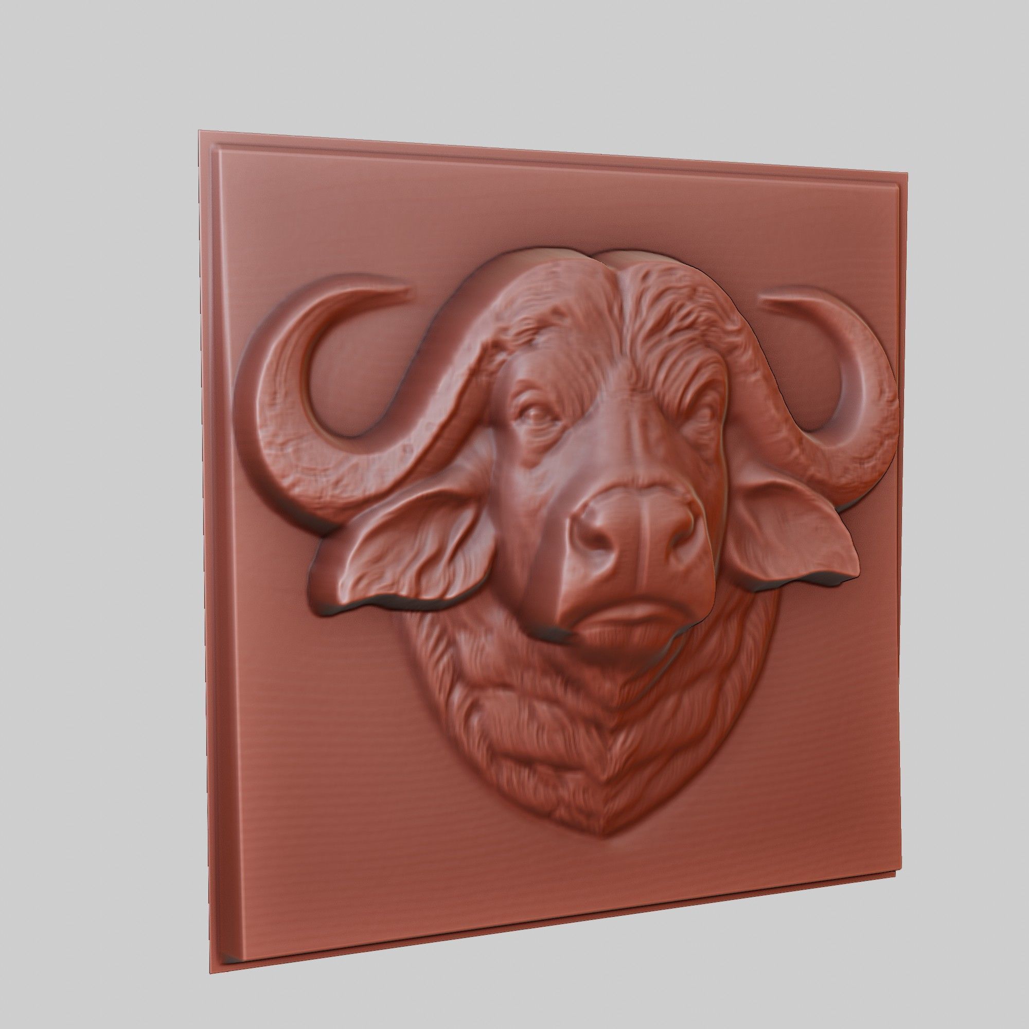 Buffalo Animal 3D print model_3