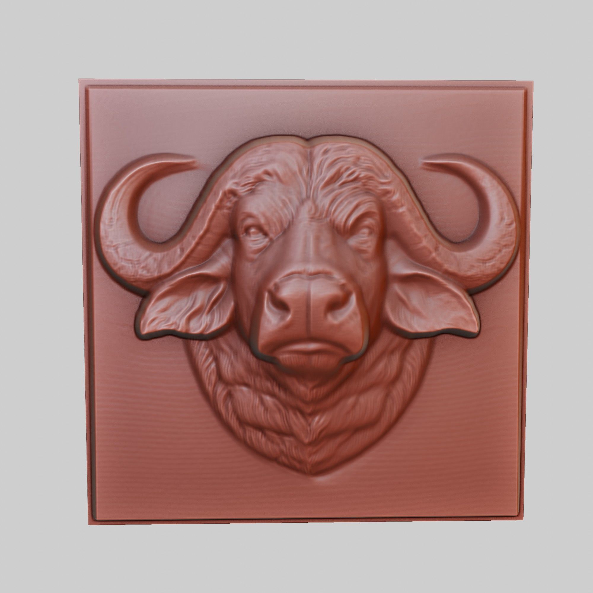 Buffalo Animal 3D print model_2