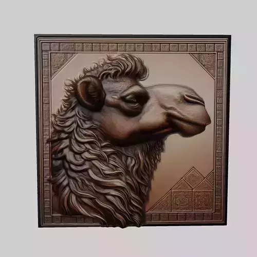 Camel Animal