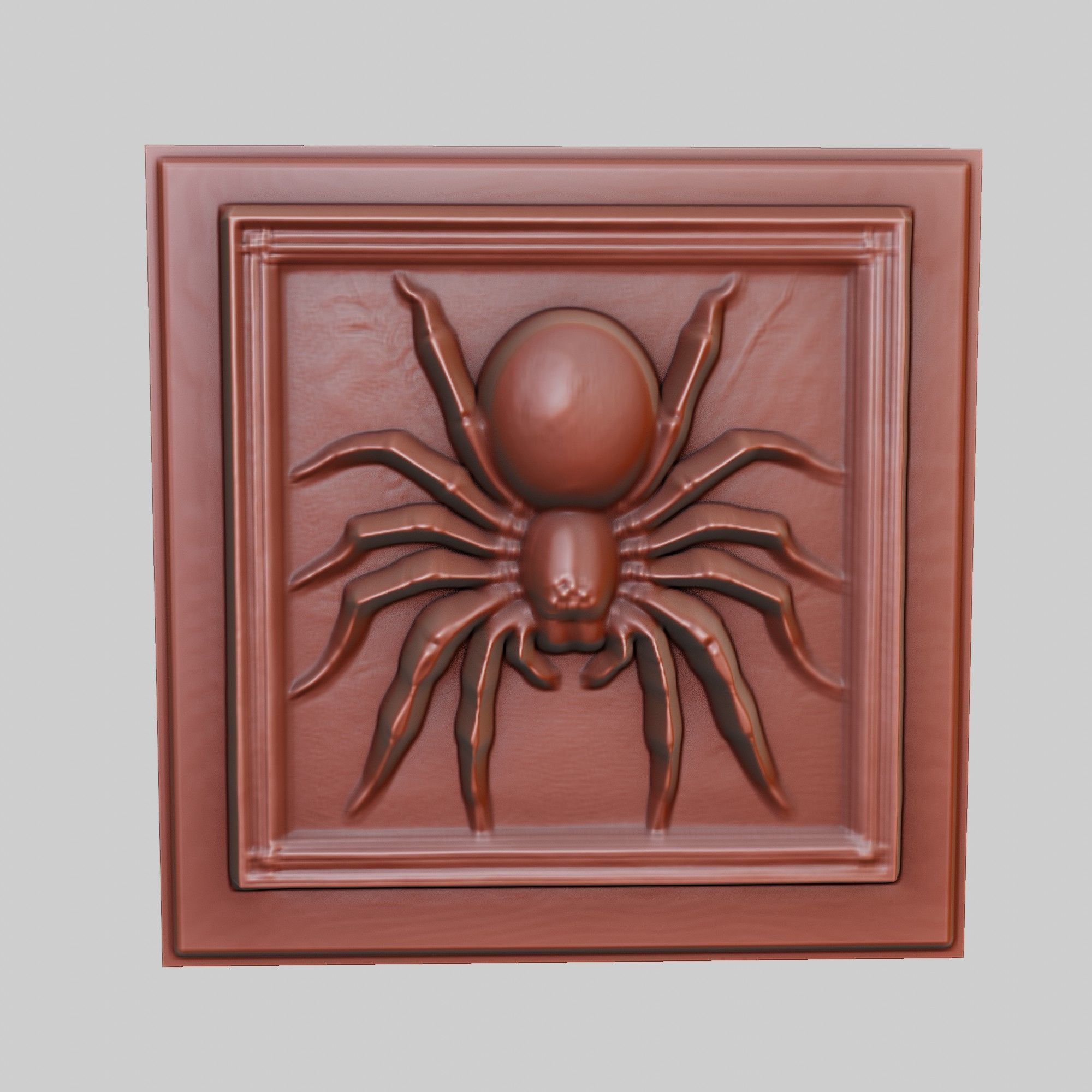 Spider Animal 3D print model_2