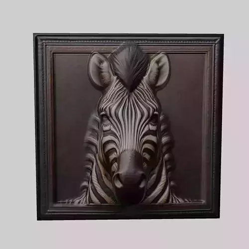 Zebra Animal