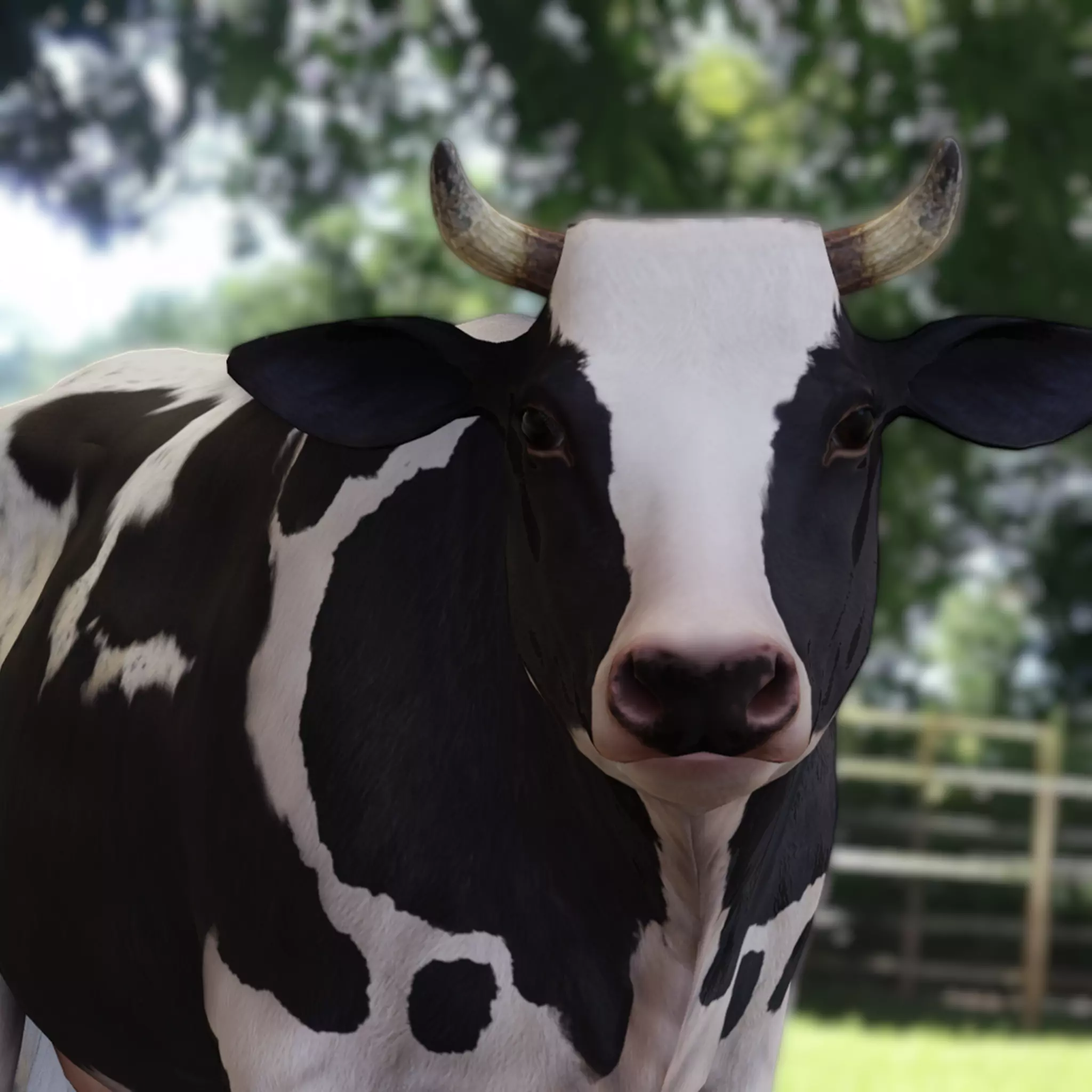 Dairy Cow Realistic 3D model