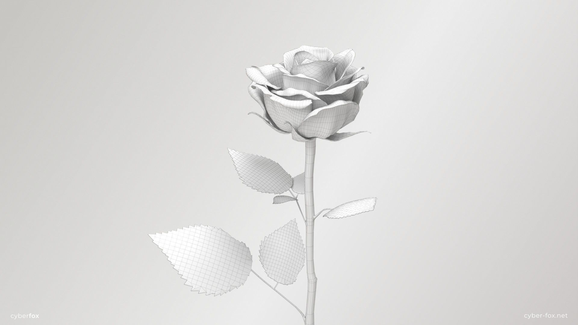 Single Pink Rose 3D model_10