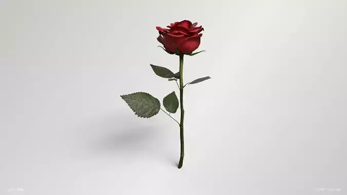 Single Red Rose Low-poly 3D model