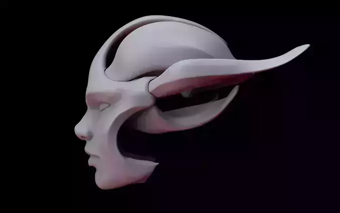 Face Shell 3D print model