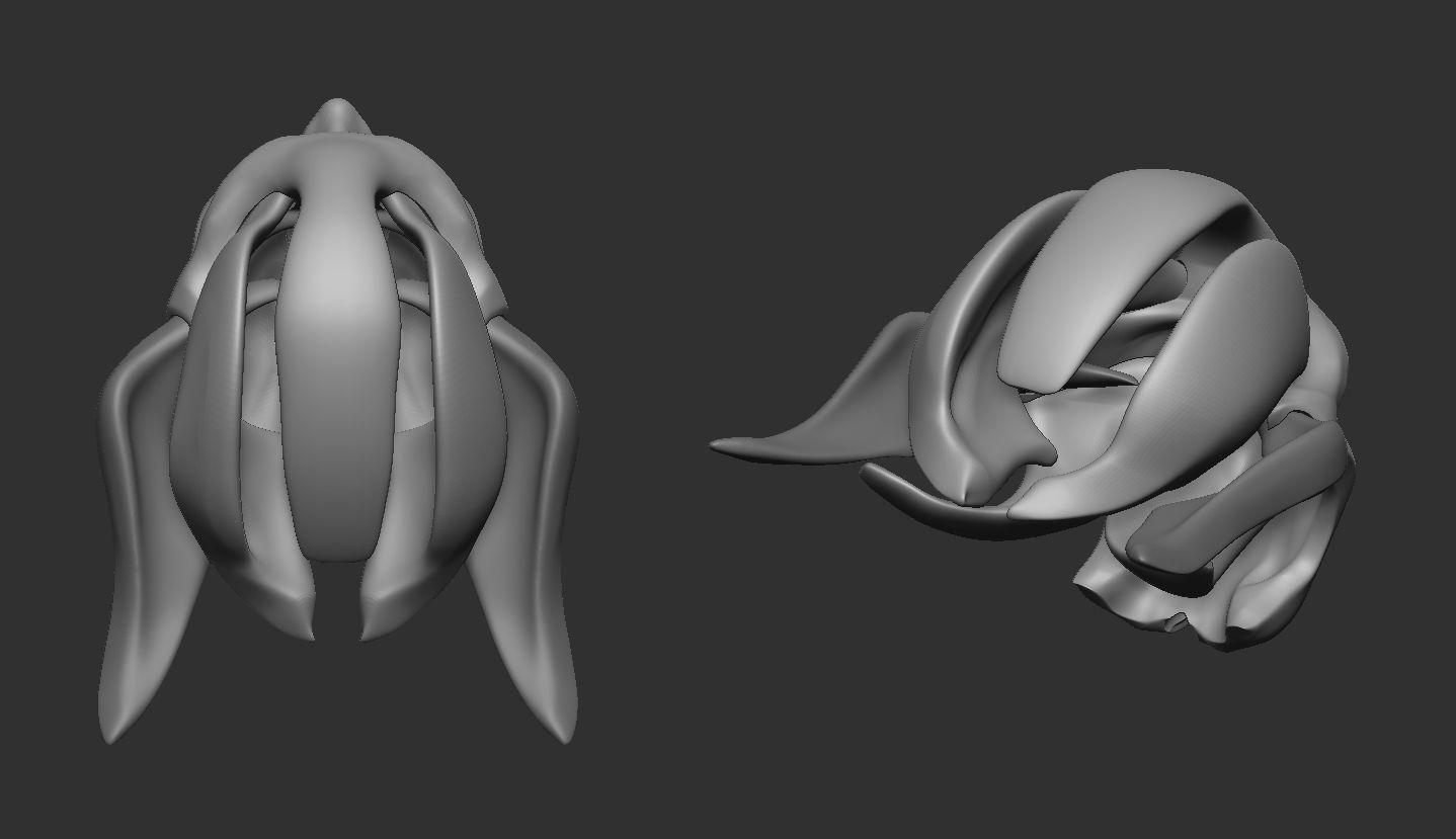 Face Shell 3D print model_5