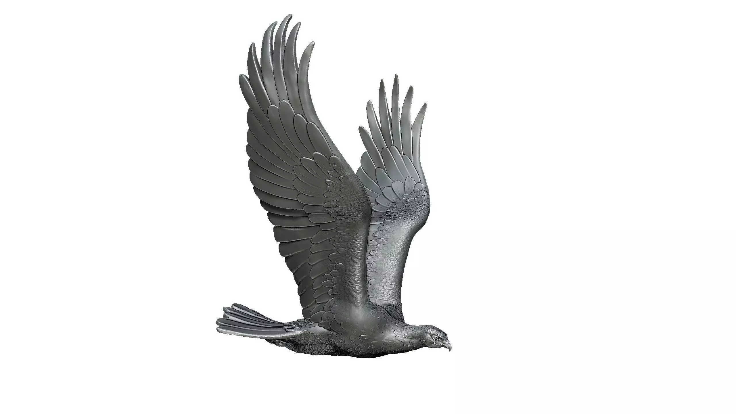 Eagle 3D print model