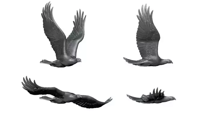 eagle 3D Model Collection