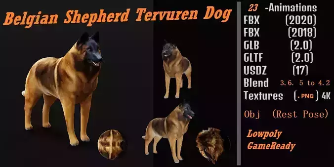 Belgian Shepherd Tervuren Dog Low-poly 3D model