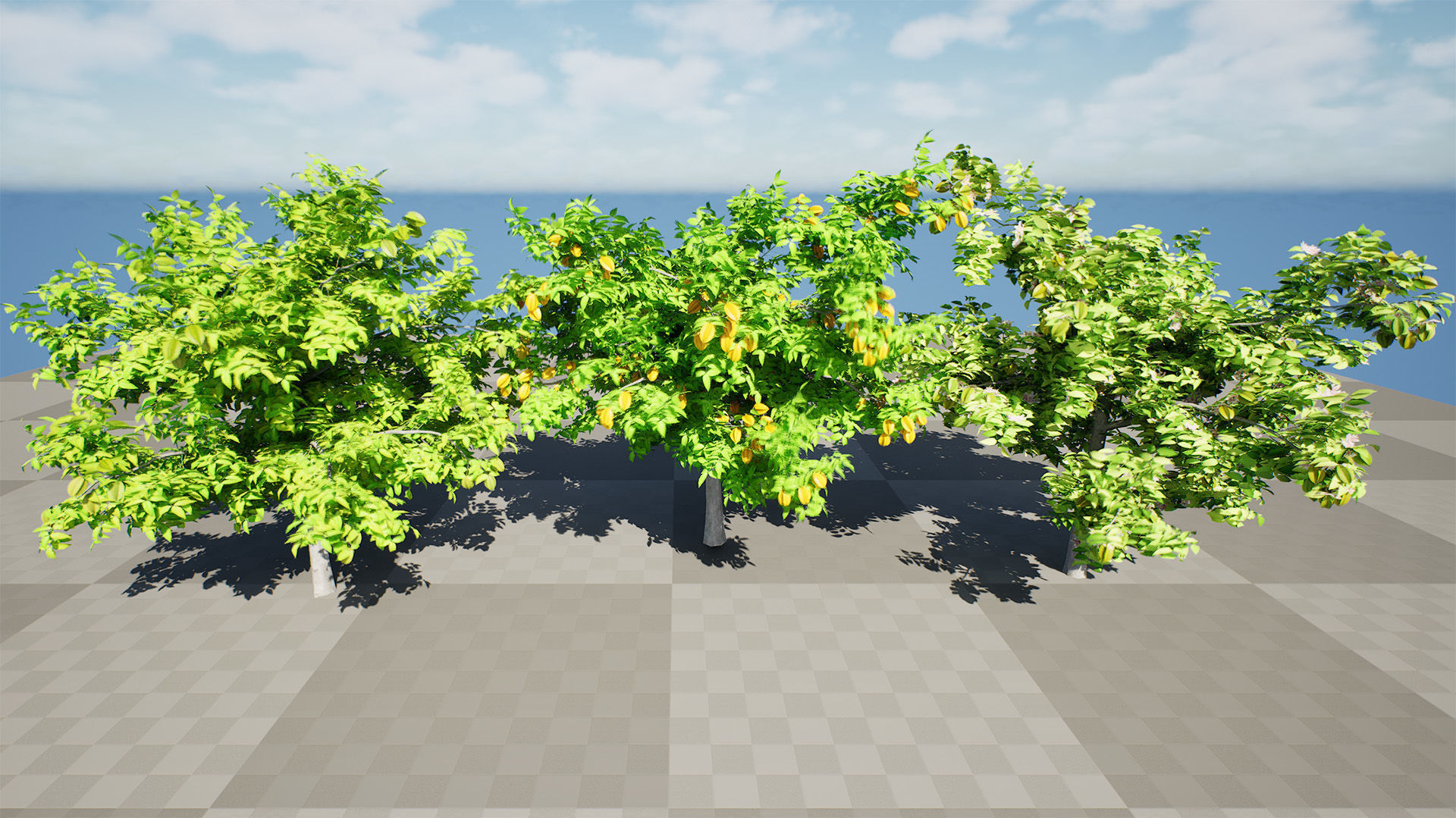 Realistic Starfruit Tree Model Low-poly 3D model_5