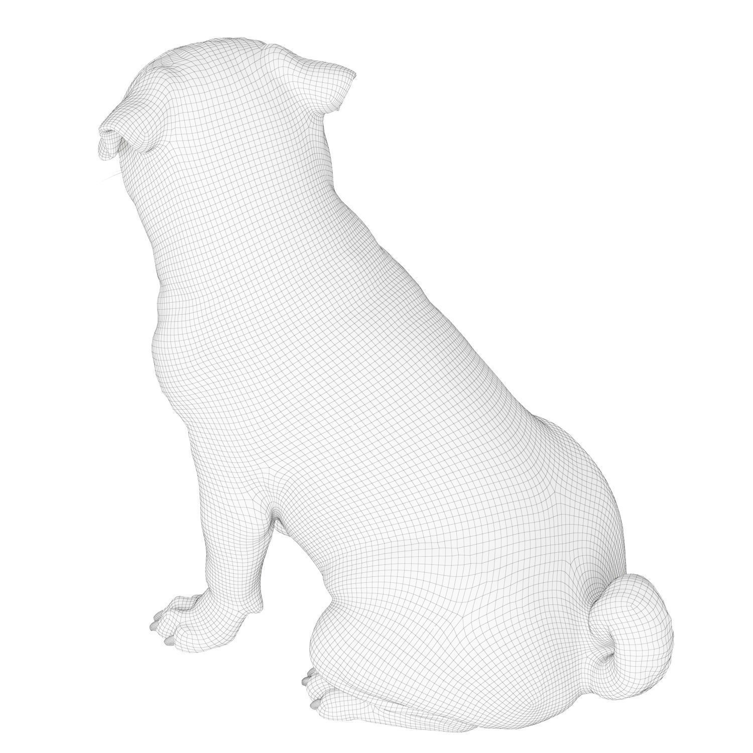 Realistic pug dog 3D model_6