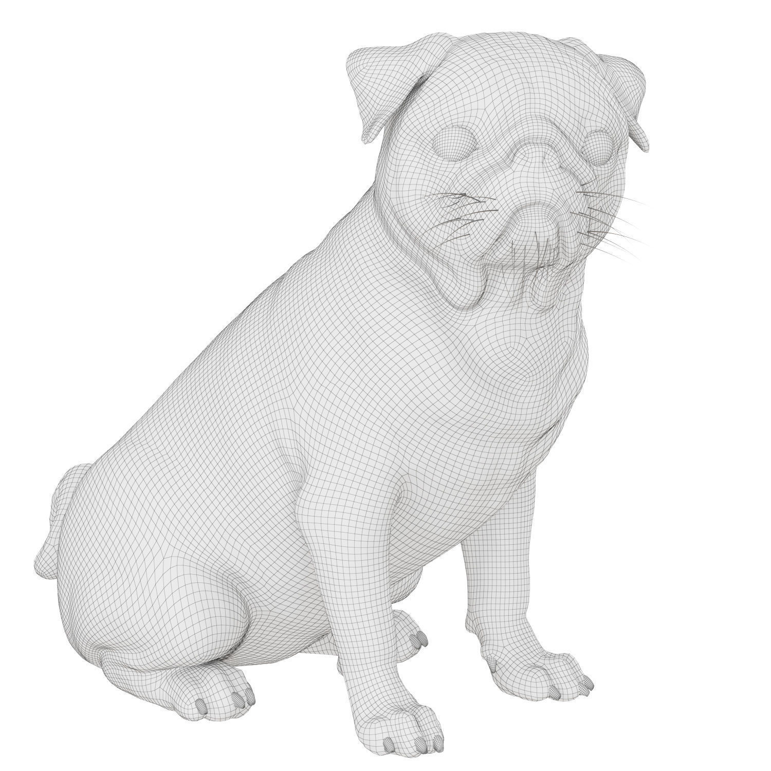 Realistic pug dog 3D model_5