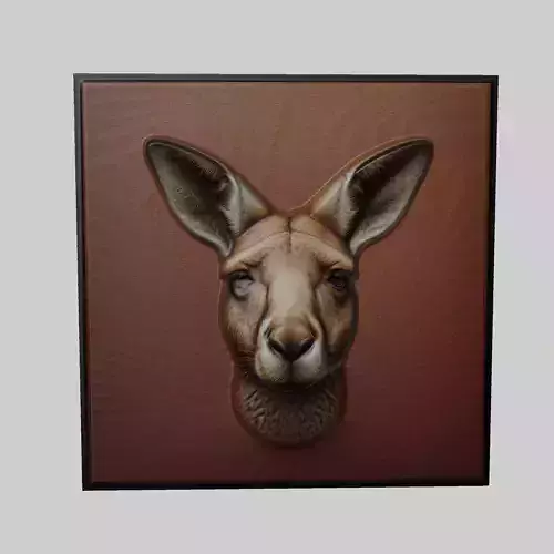 Kangaroo Animal