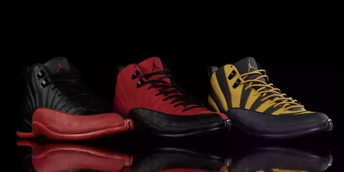 Nike Air Jordan 12 3D model