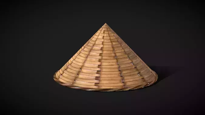Conical Asian Hat