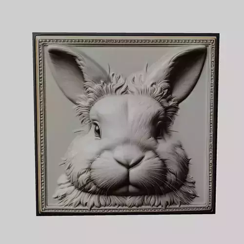 Rabbit Animal