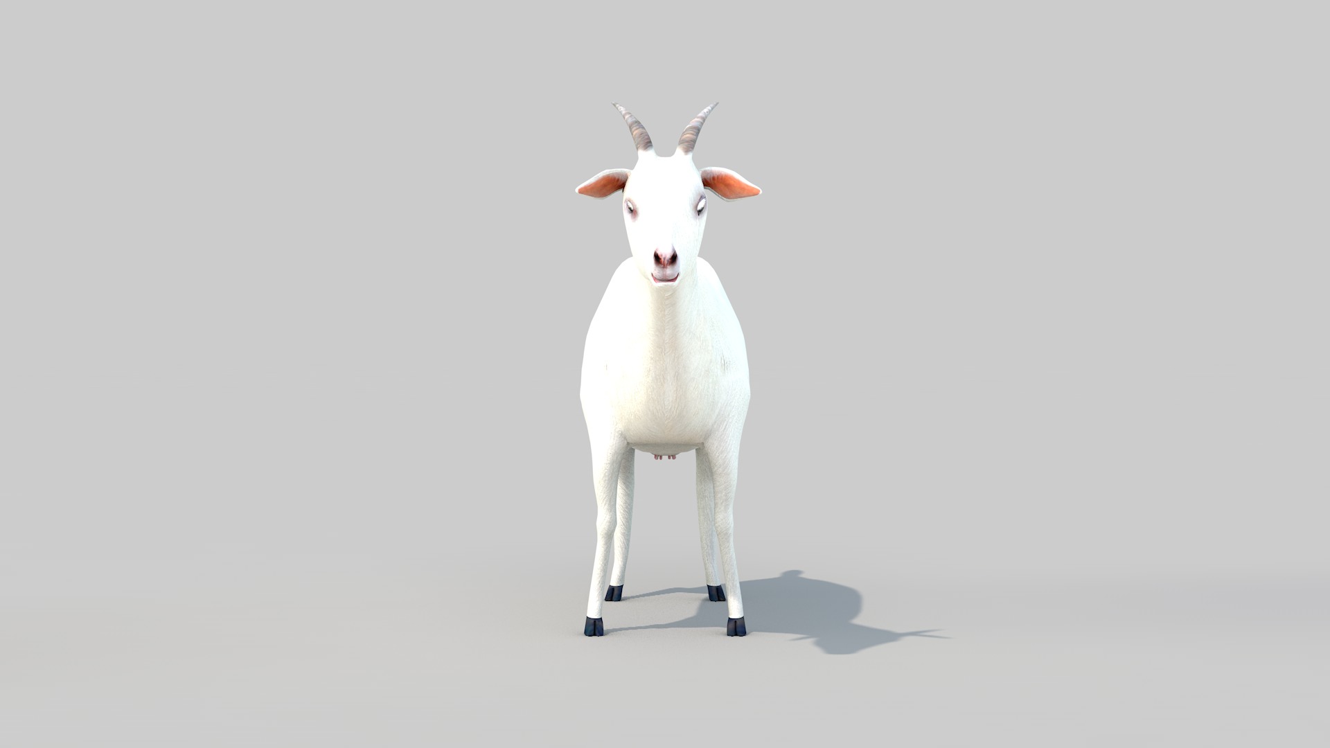 white goat two 3D model_13