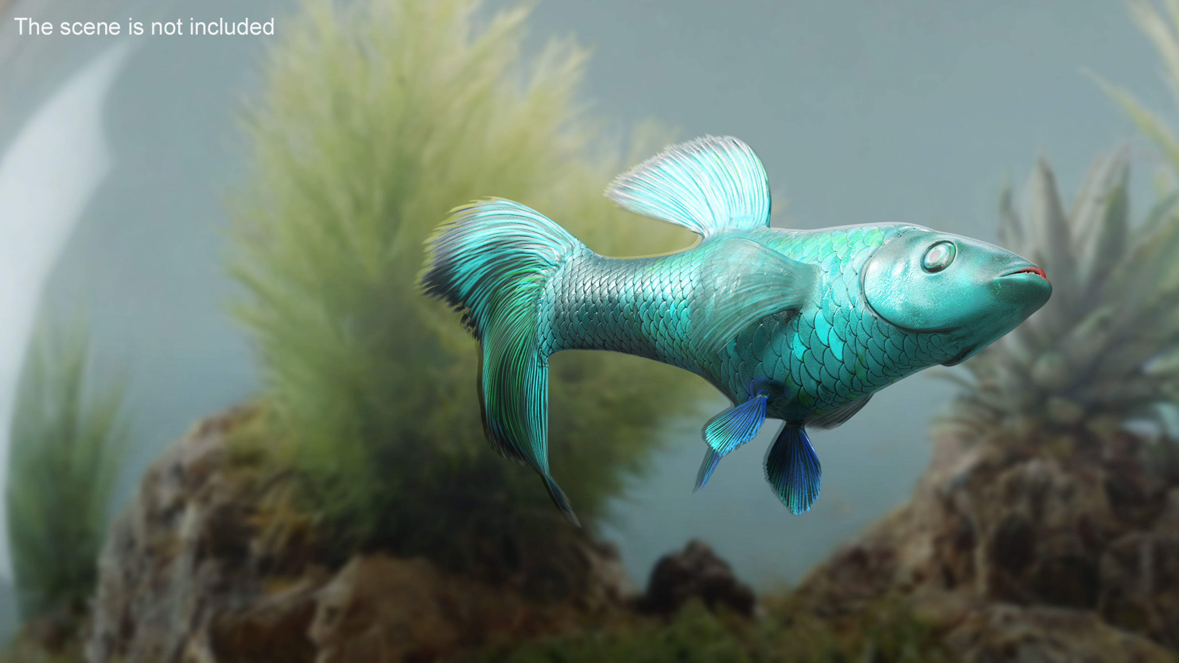 Guppy Fish Malachite Rigged for Cinema 4D 3D model