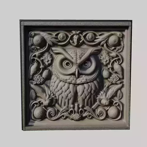 Owl Animal