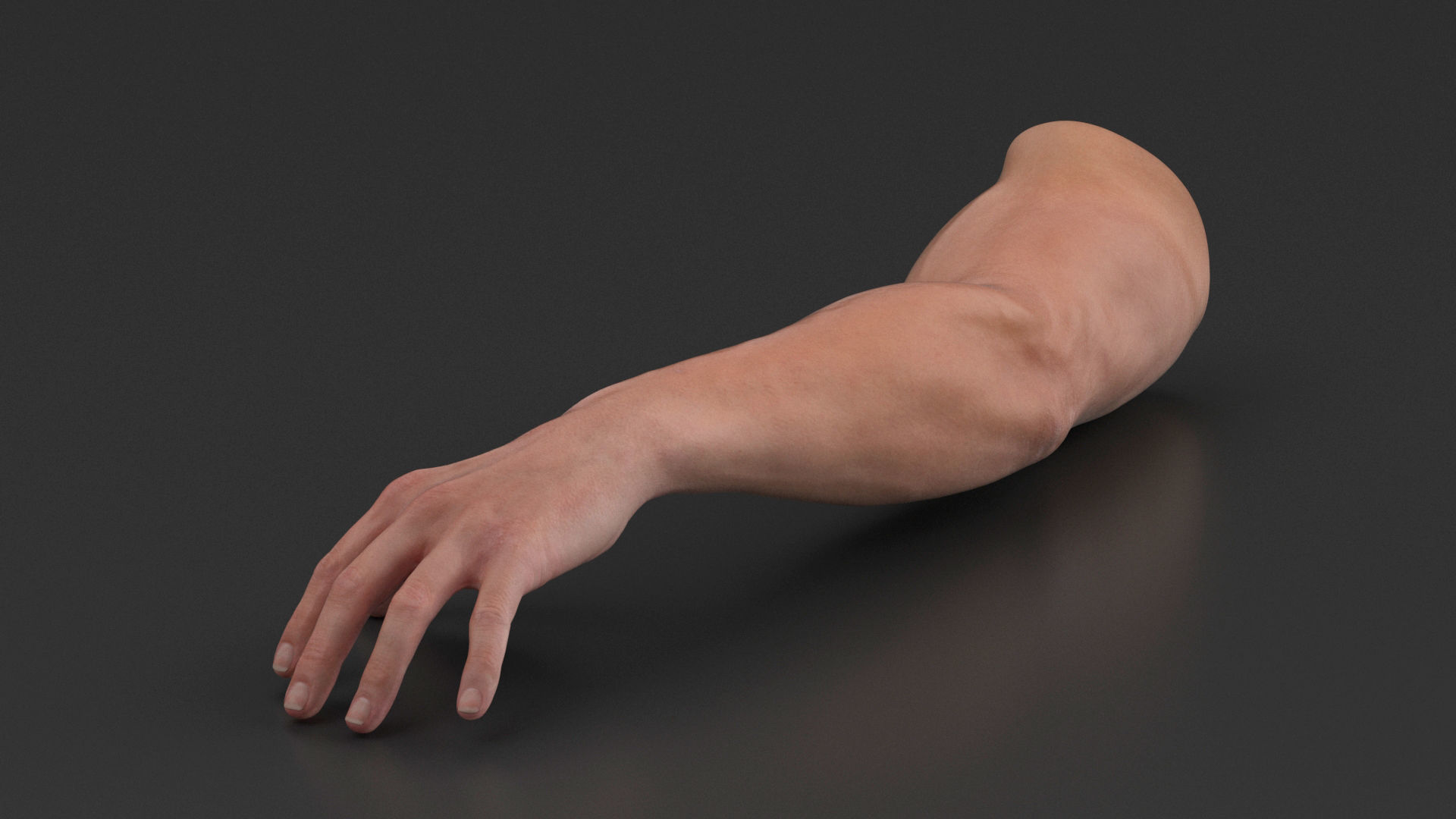 Athletic Male Arm 3D model