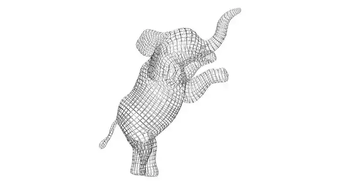 Elephant Wireframe