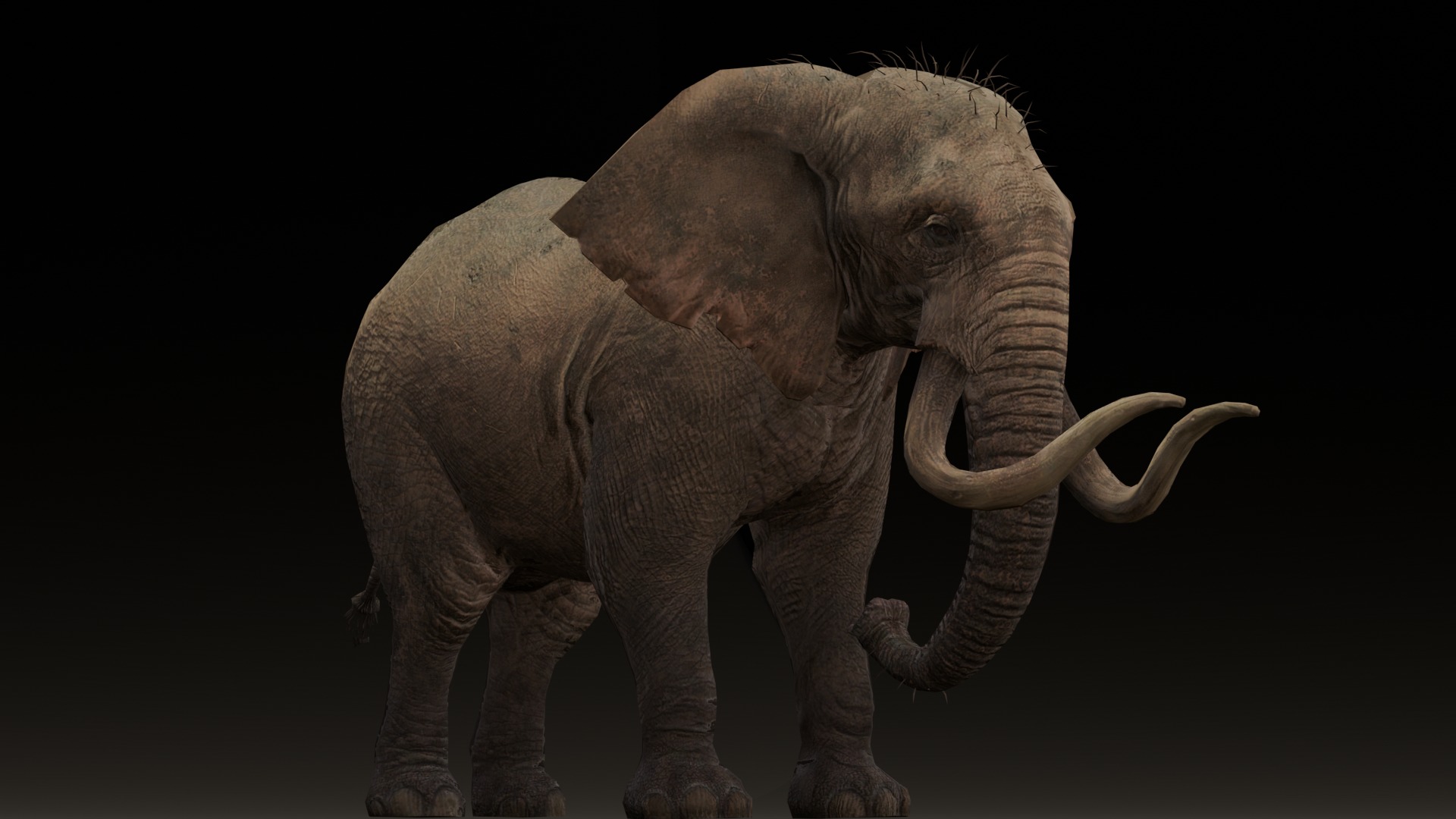 Elephant Animated Rigged 3D Model Low-poly 3D model_3