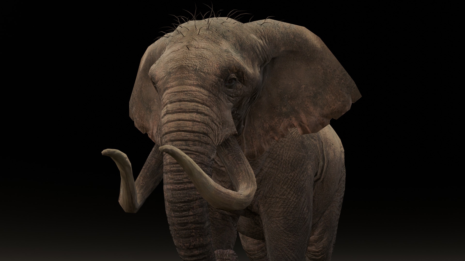Elephant Animated Rigged 3D Model Low-poly 3D model_1