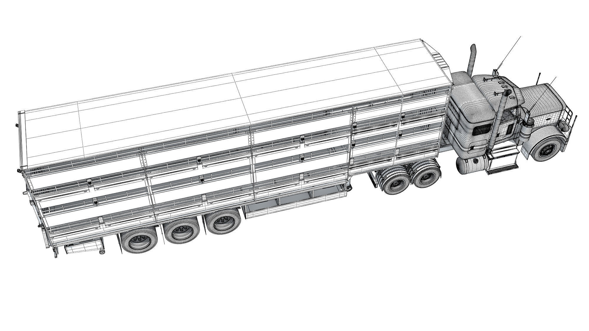 Animal Transporter Semi Truck and Trailer 3D model_18