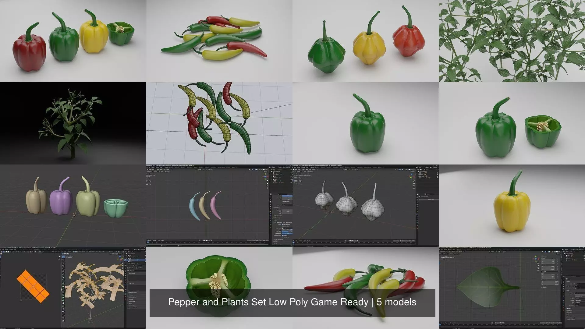 Pepper and Plants Set Low Poly Game Ready 3D Model Collection_0