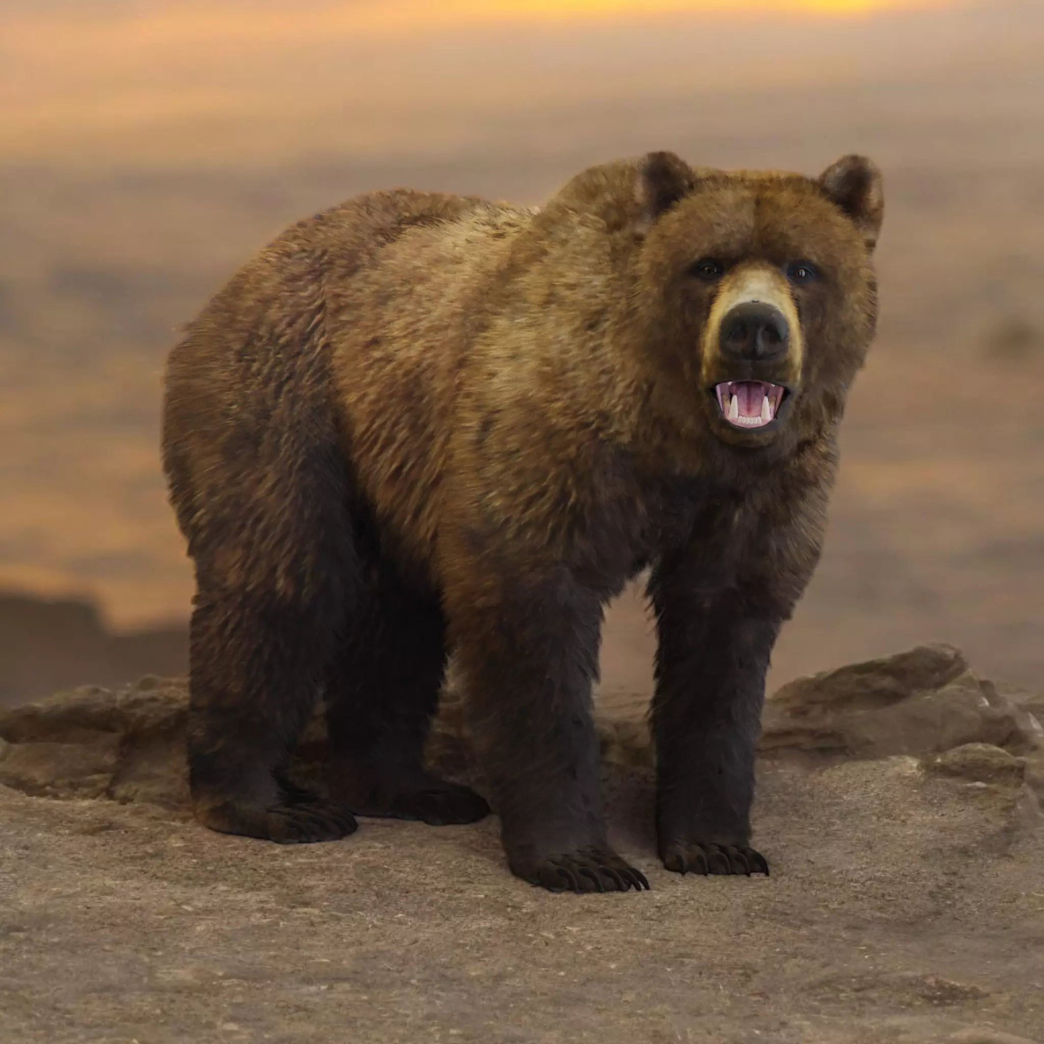 Brown Bear 3D model_0