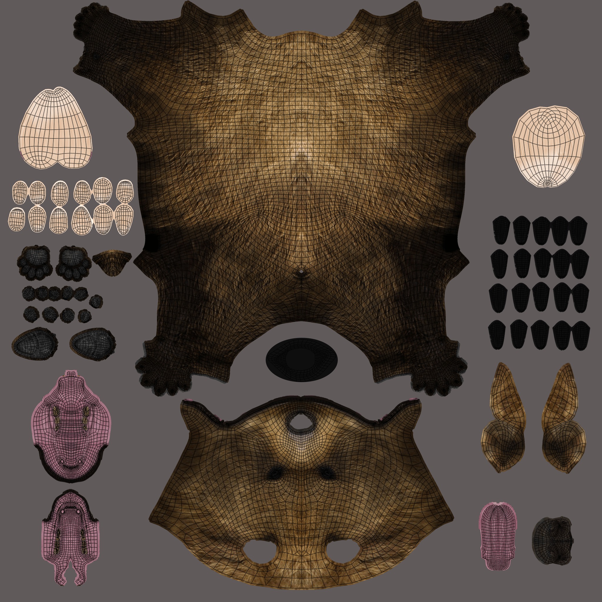 Brown Bear 3D model_8