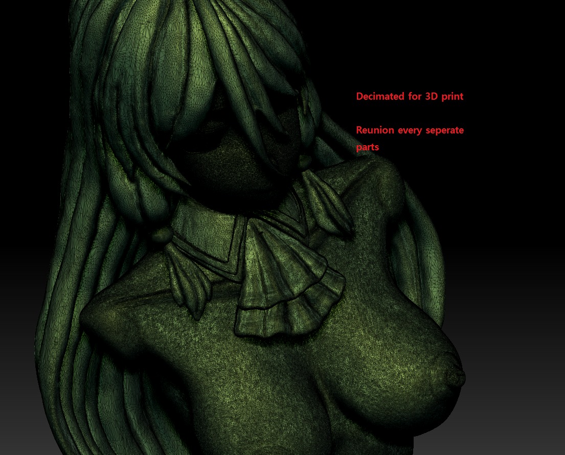 NSWF - Bust of Flare - Re do of healer Anime - For 3Dprinting 3D print model_8